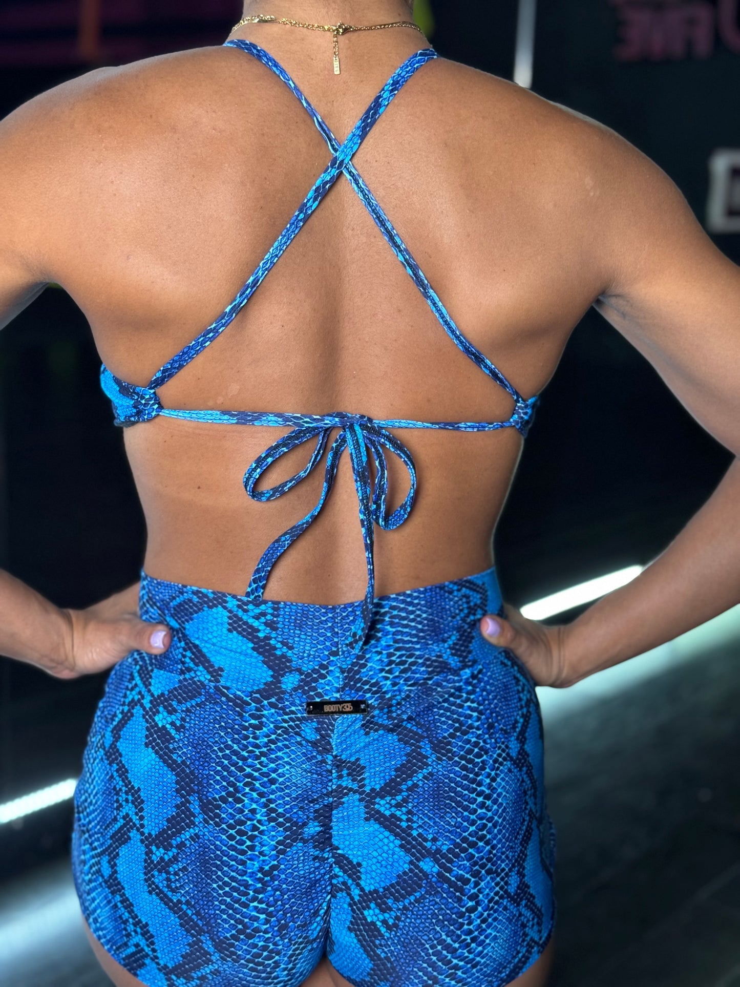 Diva Blue Snake